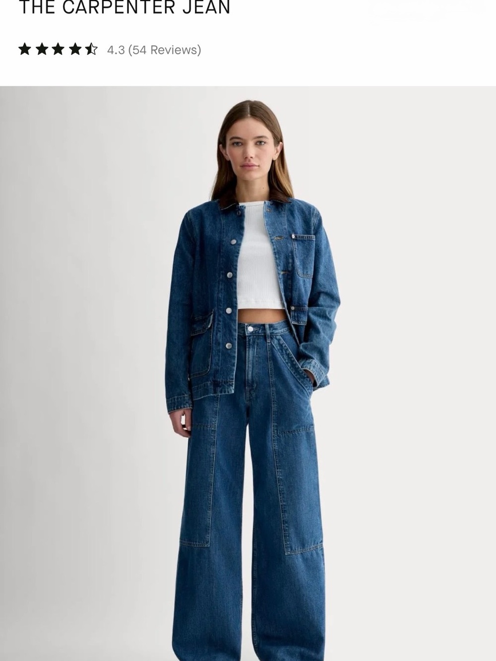 Everlane Blue Wide-Leg Carpenter Jeans